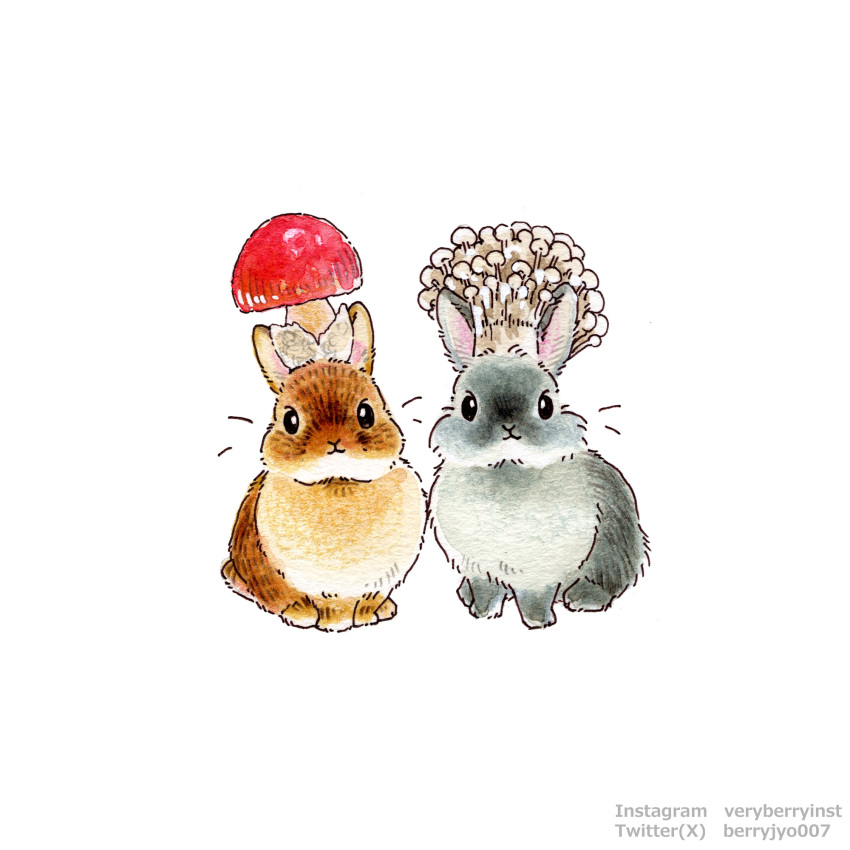 Safebooru - animal animal ears animal focus artist name berry jou ...