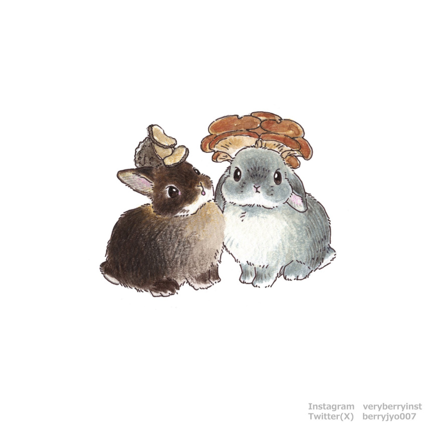 Safebooru - animal animal ears animal focus artist name berry jou ...