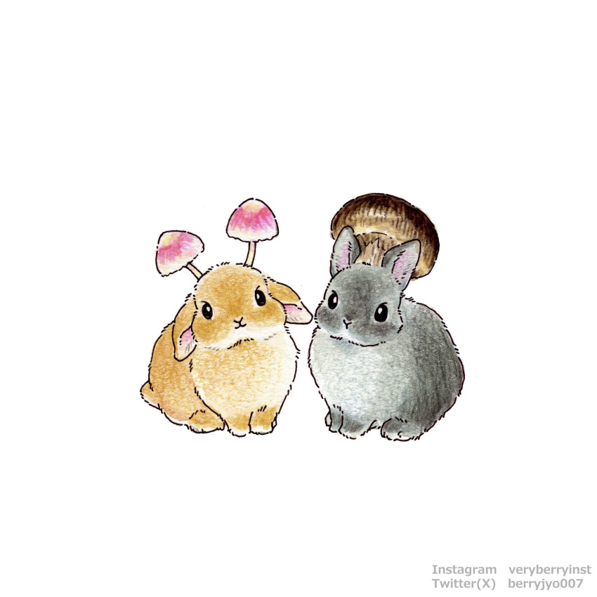 Safebooru - animal animal ears animal focus artist name berry jou ...