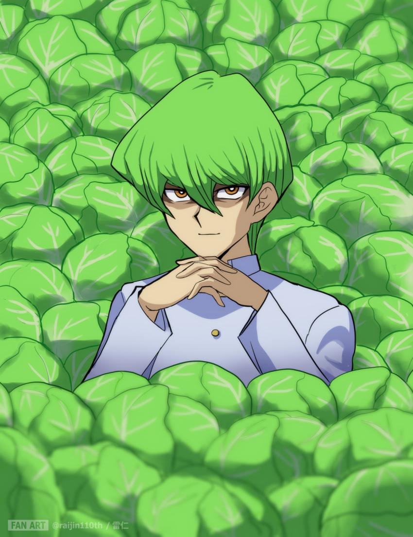 Safebooru 1boy bags under eyes buttons cabbage closed mouth
