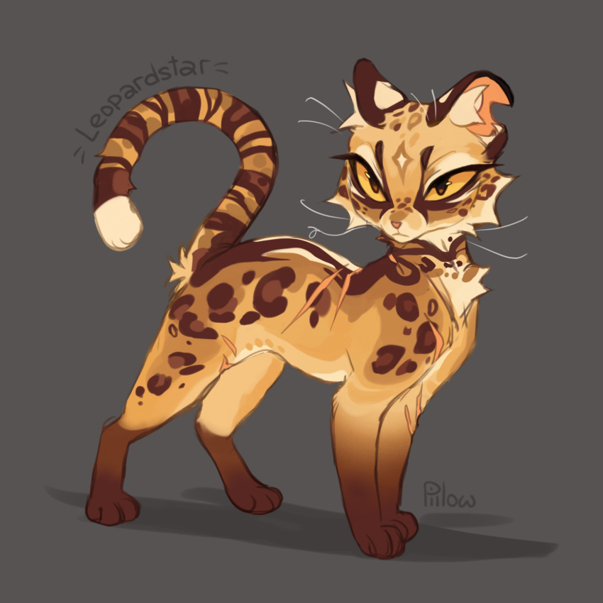 Expressionless Cat Safebooru - animal animal focus artist name brown eyes cat character ...