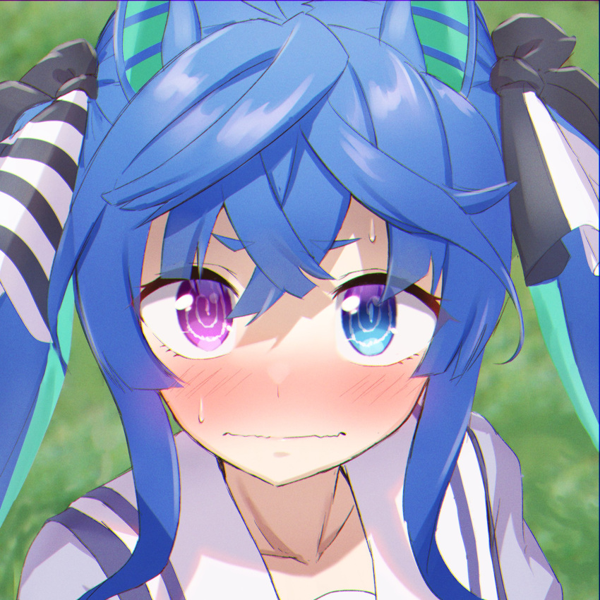 Safebooru 1girl animal ears blue hair blush hair ribbon