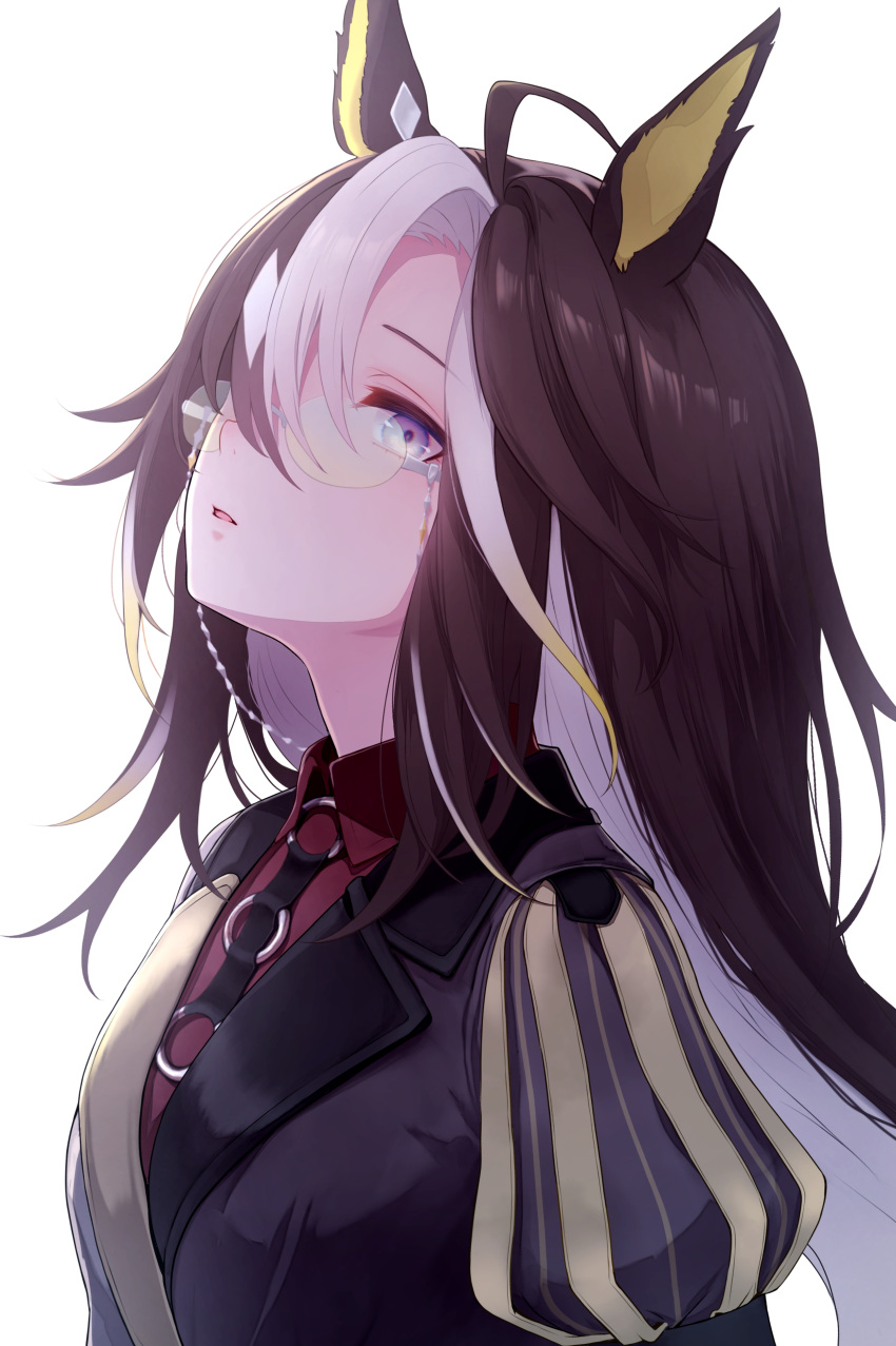 Safebooru - 1girl absurdres ahoge animal ears black coat blue eyes ...