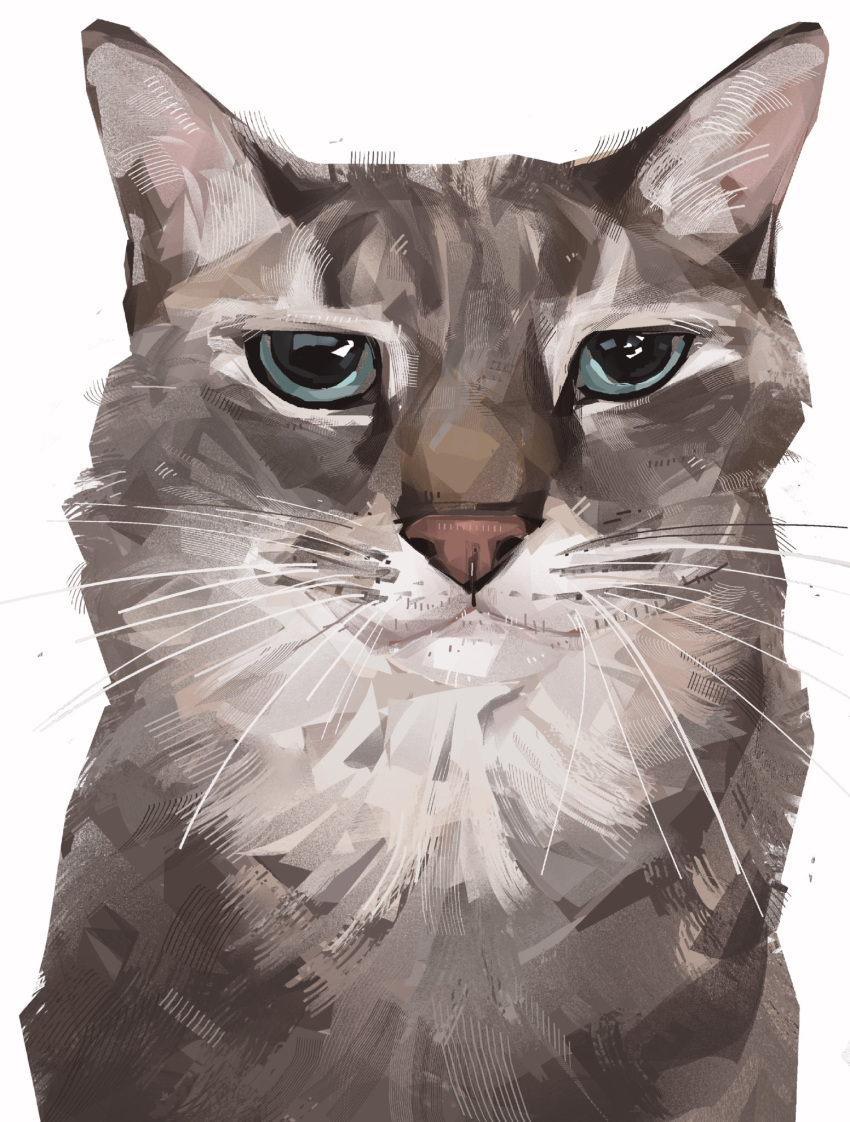 Expressionless Cat Safebooru - animal animal focus cat commentary english commentary ...