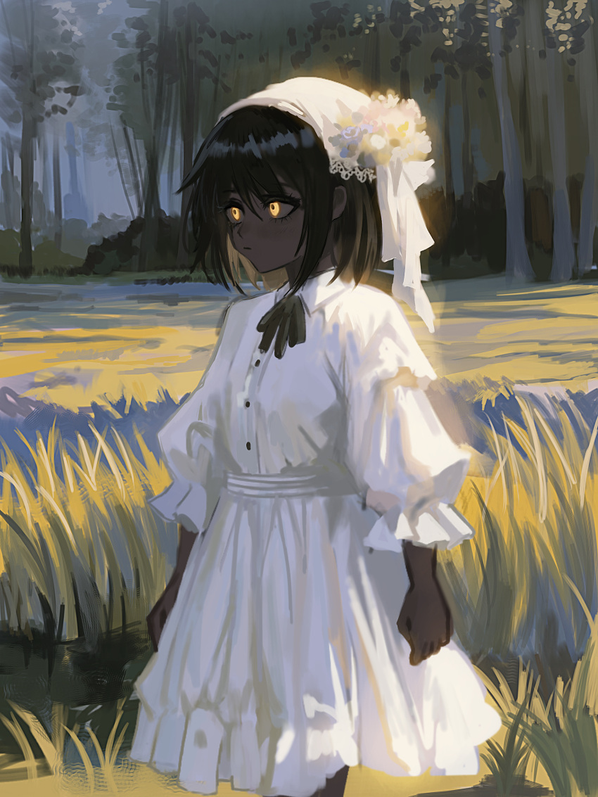 Safebooru - 1girl akai ringo (eveyuno) black hair blush collared dress ...
