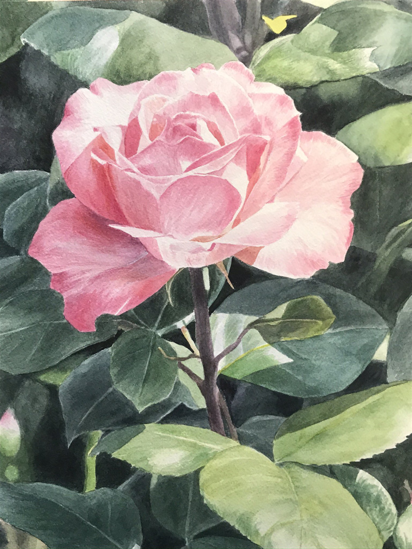 safebooru-day-eyvzi172xqdkvs7-flower-flower-focus-highres-leaf-no