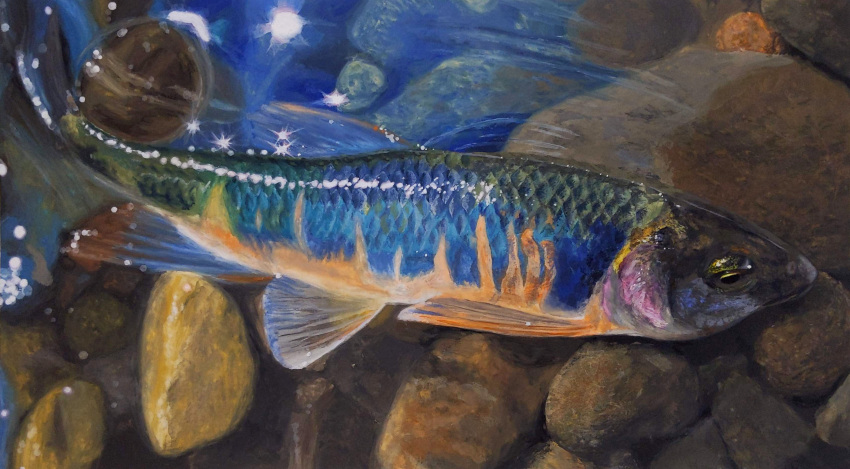 Safebooru - absurdres animal animal focus fish highres in water naoya ...