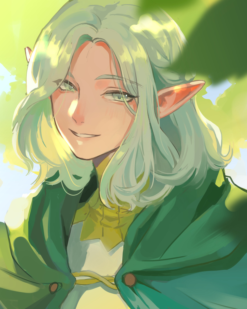 Mithrun Elf Safebooru - 1boy absurdres blurry cloak depth of field dungeon meshi ...
