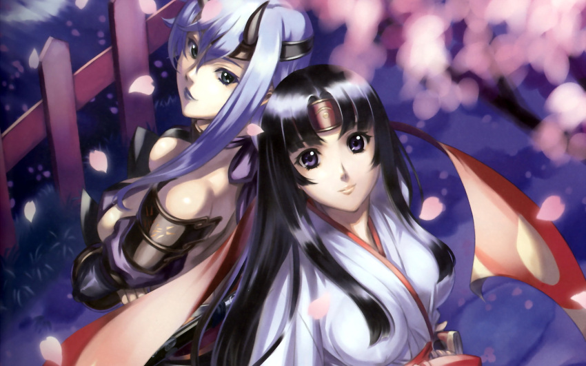 Safebooru queen's blade queen's blade shizuka tomoe 621038