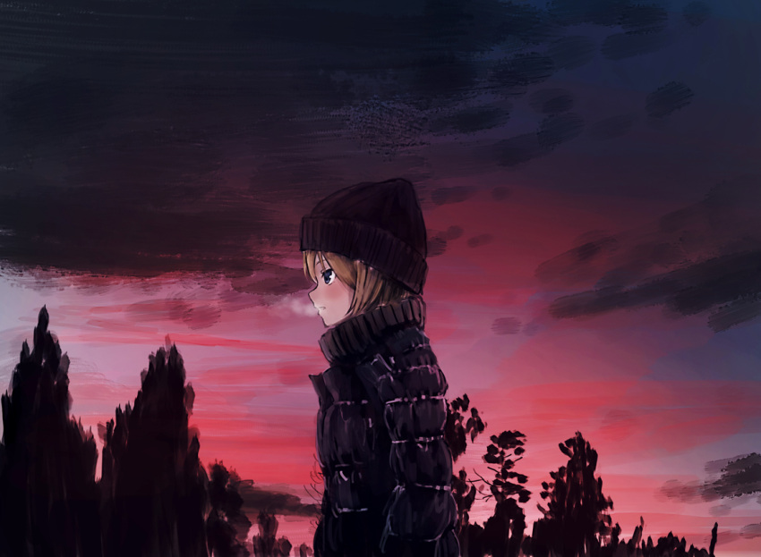 1girl beanie black_eyes breath brown_hair coat evening from_side hat long_s...