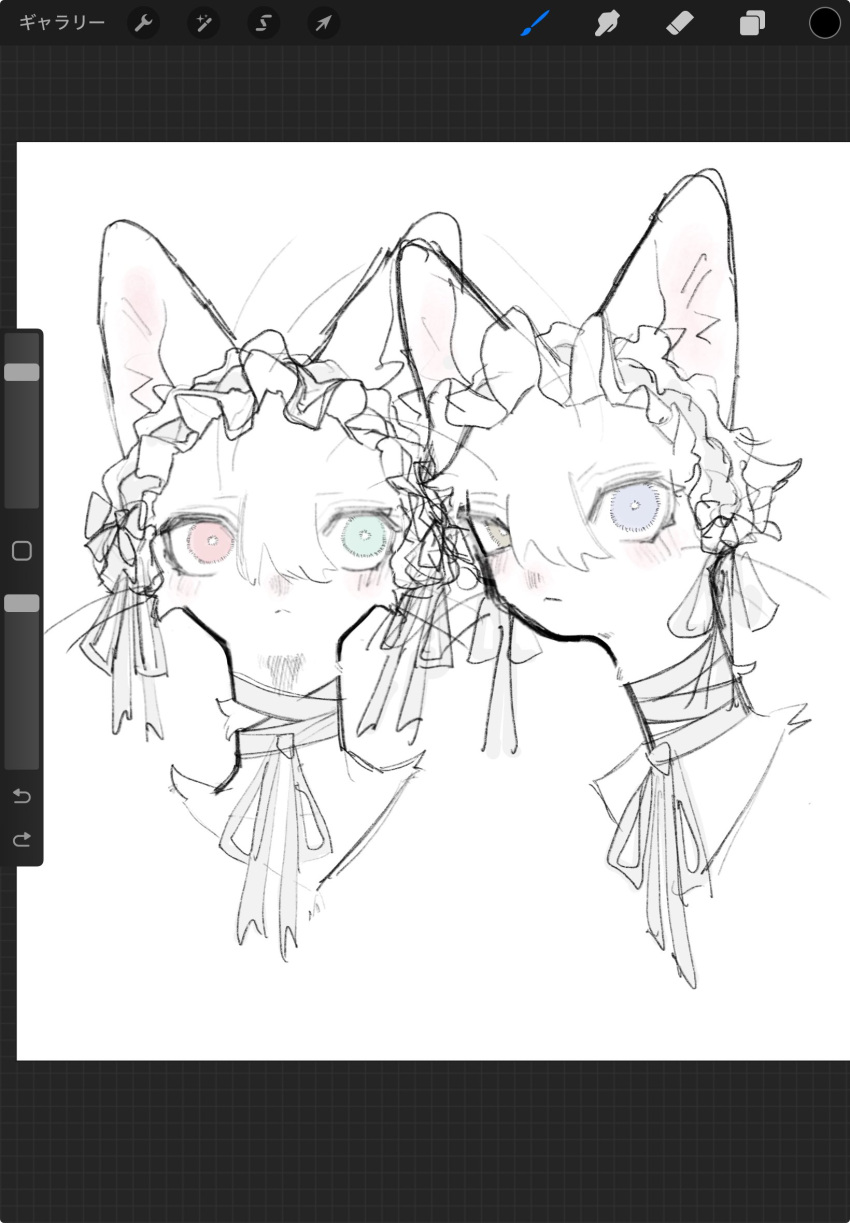 Expressionless Cat Safebooru - 2others animal ears art program in frame bandaged neck ...