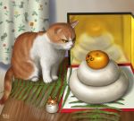 cat dated food fruit kagami_mochi matataku no_humans orange original reflection star stare_down rating:Safe score:2 user:danbooru