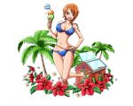 1girl :d barefoot bikini blue_bikini bodskih breasts brown_eyes cleavage collarbone flower food groin hand_on_hip hibiscus holding holding_food ice_cream large_breasts looking_at_viewer nami_(one_piece) navel one_leg_raised one_piece open_mouth orange_hair palm_tree red_flower short_hair smile solo standing standing_on_one_leg swimsuit transparent_background tree rating:Safe score:3 user:gelbooru