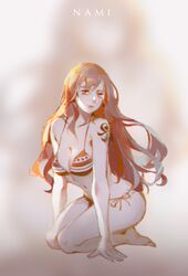 1girl barefoot bikini breasts brown_eyes brown_hair character_name cleavage collarbone dywx_poison floating_hair full_body grey_background head_tilt kneeling large_breasts long_hair looking_at_viewer nami_(one_piece) one_piece side-tie_bikini smile solo striped striped_bikini swimsuit tattoo very_long_hair rating:Safe score:0 user:gelbooru