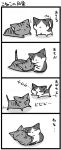 cat cat_focus comic mitsuki_hina monochrome no_humans original translated translation_request rating:Safe score:1 user:Gelbooru