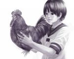 bird chicken httr monochrome original rooster school_uniform serafuku short_hair solo rating:Safe score:1 user:danbooru