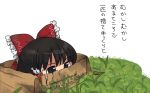 dirty for_adoption hakurei_reimu in_container mikan_box no_humans pentagon solo touhou translated yukkuri_shiteitte_ne rating:Safe score:1 user:danbooru