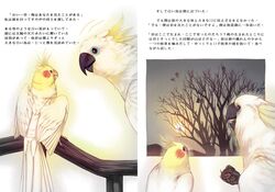 cockatiel comic era_(traveling_bird) fishball original parrot translated translation_request tree rating:Safe score:0 user:danbooru