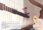 bird branch cage cockatiel comic era_(traveling_bird) fishball no_humans original parrot teasing translated translation_request rating:Safe score:0 user:danbooru