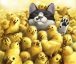 bird cat chick closed_eyes matata-cat matataku no_humans original too_many rating:Safe score:2 user:Gelbooru