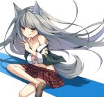  1girl :q animal_ears collarbone flat_chest grey_hair loafers long_hair navel open_clothes open_shirt original plaid plaid_skirt school_uniform shoes sitting skirt solo tail tepes tongue undressing wolf_ears wolf_tail yellow_eyes 