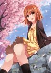  akatsuki_miho blush brown_eyes brown_hair cherry_blossoms dress kouno_hikaru original petals short_hair sitting smile socks tree 