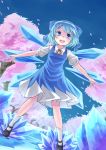  1girl blue_eyes blue_hair bow cherry_blossoms cirno dress hair_bow highres ice ice_wings kino_(kino_buro) open_mouth outstretched_arms petals short_hair solo touhou wings 