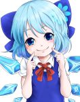  1girl blue_eyes blue_hair bow cirno dress face finger_to_face flower hair_bow hayase_kento looking_at_viewer ribbon short_hair short_sleeves simple_background smile solo touhou white_background wings 