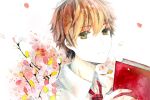  1boy book brown_hair chihayafuru flower mashima_taichi necktie petals rue_(wyha666) simple_background solo traditional_media white_background yellow_eyes 