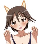  1girl :d animal_ears arobiro brown_eyes collarbone looking_at_viewer miyafuji_yoshika naughty_face open_mouth short_hair simple_background smile strike_witches white_background 