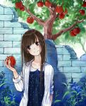  apple brown_eyes brown_hair food fruit head_tilt long_hair maigo_(neko) original polka_dot tree wall 