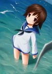  1girl aksman bird brown_eyes brown_hair clenched_hand dutch_angle looking_at_viewer miyafuji_yoshika partially_submerged seagull short_hair solo strike_witches water 