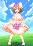  1girl animal_ears barefoot blue_sky brown_hair bunny_tail carrot dress flower furorida inaba_tewi jewelry looking_at_viewer meadow open_mouth pendant pink_dress puffy_short_sleeves puffy_sleeves rabbit_ears red_eyes shadow short_hair short_sleeves sky solo tail touhou 