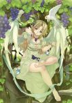  1girl barefoot bird blonde_hair blue_eyes branch breasts cleavage cockatoo dress food fruit grapes legs malino_(dream_maker) original pointy_ears smile solo tree wings wristband 
