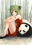  1girl bread china_dress chinese_clothes food green_eyes green_hair gumi kuronyanko leg_hug panda short_hair sitting vocaloid yie_ar_fan_club_(vocaloid) 