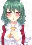  1girl blurry blush breasts checkered depth_of_field geike green_hair hand_on_own_chest highres kazami_yuuka looking_at_viewer open_mouth petals red_eyes solo touhou vest white_background 
