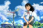  black_eyes black_hair blush building cloud clouds dragonfly grass insect inumaru_(sougen_no_marogoya) power_lines scenery school_uniform skirt skirt_lift sky smile tree 