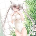  cat_ears erinngi flower highres impossible_clothes impossible_shirt leotard long_hair original plant red_eyes shirt silver_hair solo twintails white_hair 