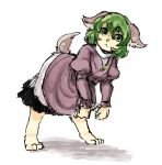  :&lt; animal_ears dog dog_ears dress green_eyes green_hair kasodani_kyouko kitayuki_kajika purple_dress short_hair solo tail touhou 