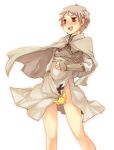 1boy axis_powers_hetalia bird blush cape censored chick iron_cross male no_panties novelty_censor open_mouth prussia_(hetalia) red_eyes short_hair simple_background solo tobi_(one) white_background 
