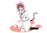  1girl animal_ears blush cat_ears cat_tail hajime_(kinyou_club) miyanaga_teru saki sitting solo tail 