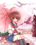  1girl blush book brown_eyes brown_hair cherry_blossoms kawara_yun miyanaga_saki reading saki school_uniform serafuku short_hair sitting smile solo umbrella 
