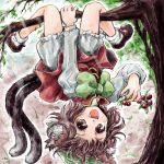  1girl animal_ears bloomers brown_eyes brown_hair cat_ears cat_tail chen cherry food fruit in_tree looking_at_viewer multiple_tails nanashii_(soregasisan) open_mouth short_hair solo tail touhou tree underwear upside-down 