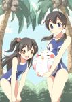  1girl 2girls bird black_hair blood blue_eyes brown_eyes dera_mochimazzui hair_bobbles hair_ornament kitashirakawa_anko kitashirakawa_tamako long_hair low_twintails multiple_girls mushiboy nosebleed palm_tree school_swimsuit siblings side_ponytail sisters swimsuit tamako_market tree twintails 