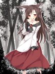  1girl animal_ears bamboo bamboo_forest blush brooch brown_hair collarbone finger_in_mouth fingernails forest gorilla_(bun0615) highres imaizumi_kagerou jewelry long_fingernails long_hair long_sleeves looking_at_viewer nature red_eyes red_nails shirt skirt touhou very_long_hair wide_sleeves wolf_ears 