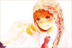  1girl brown_hair character_request doily necktie red_eyes ruq237 see-through smile veil 