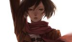  black_eyes black_hair highres mikasa_ackerman mitsukyon scarf shingeki_no_kyojin 