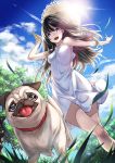 1girl bare_shoulders clouds dog dress from_below grass hat kyon_(fuuran) long_hair looking_at_viewer original paper_airplane pug purple_hair running sky solo straw_hat sundress tongue tongue_out 