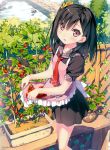  1girl :d absurdres apron black_hair food fruit garden highres kantoku necktie open_mouth short_hair skirt_basket smile strawberry tagme violet_eyes 