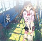  1girl bowtie brown_eyes brown_hair dog flower half_updo kantoku long_hair looking_at_viewer overgrown parted_lips plaid plaid_skirt pleated_skirt school_uniform skirt sleeves_rolled_up solo train train_interior vest watering_can 